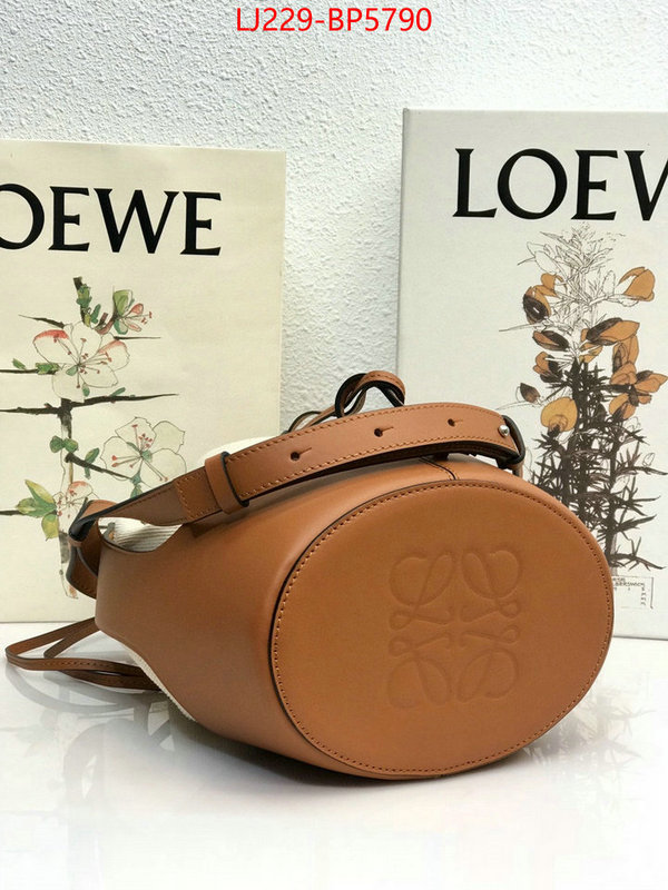 Loewe Bags(TOP)-Ballon,replica designer ,ID: BP5790,$: 229USD