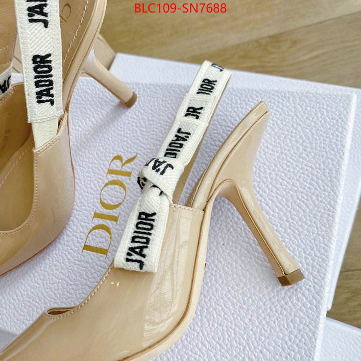 Women Shoes-Dior,fake cheap best online , ID: SN7688,$: 109USD