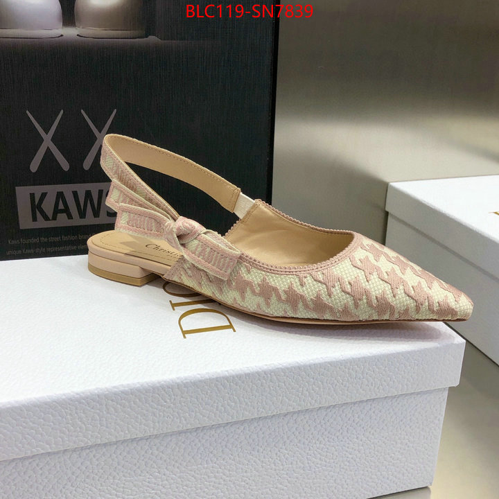 Women Shoes-Dior,how to start selling replica , ID: SN7839,$: 119USD