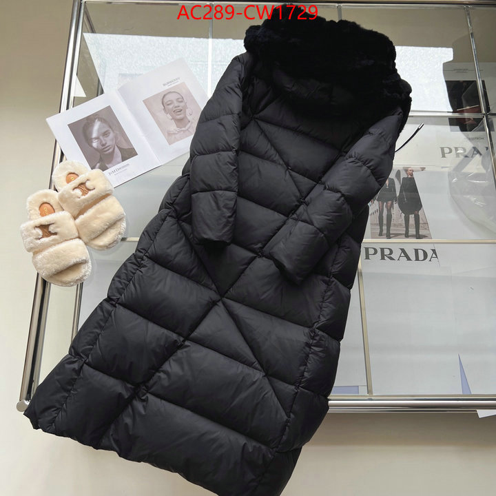 Down jacket Women-Burberry,website to buy replica , ID: CW1729,$: 289USD