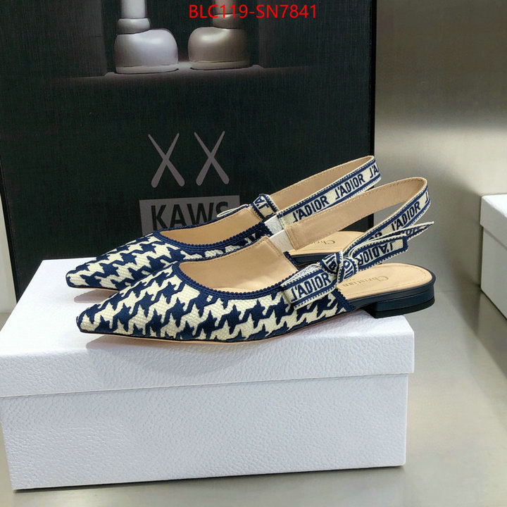 Women Shoes-Dior,outlet 1:1 replica , ID: SN7841,$: 119USD