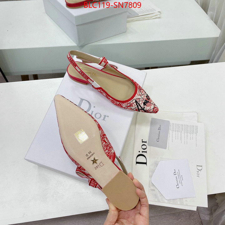 Women Shoes-Dior,designer wholesale replica , ID: SN7809,$: 119USD