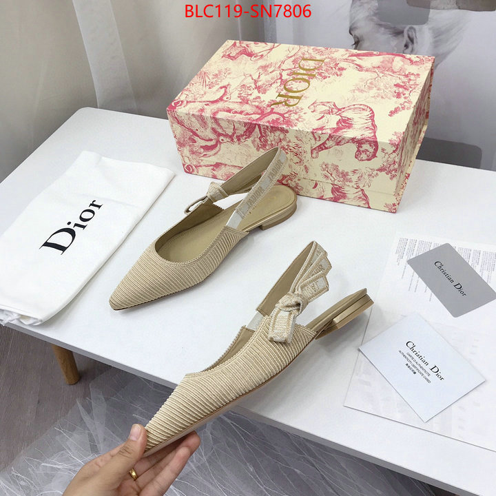 Women Shoes-Dior,how to find replica shop , ID: SN7806,$: 119USD