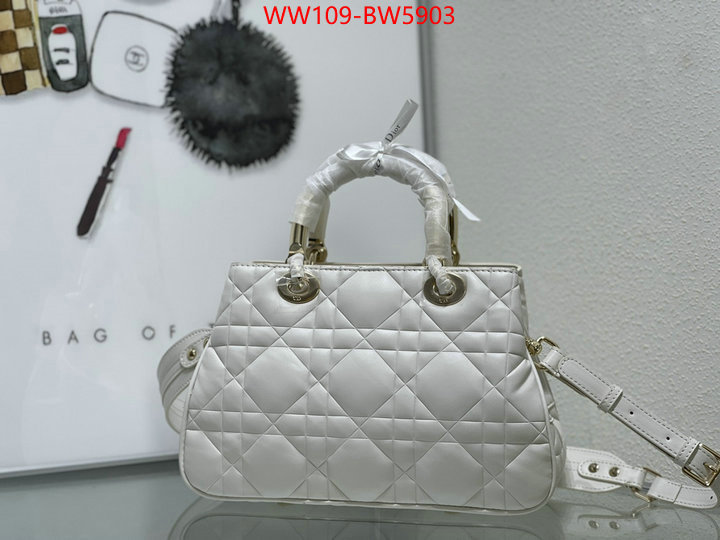 Dior Bags(4A)-Other Style-,ID: BW5903,$: 109USD