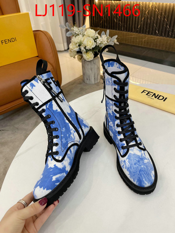 Women Shoes-Fendi,store , ID: SN1466,$: 119USD