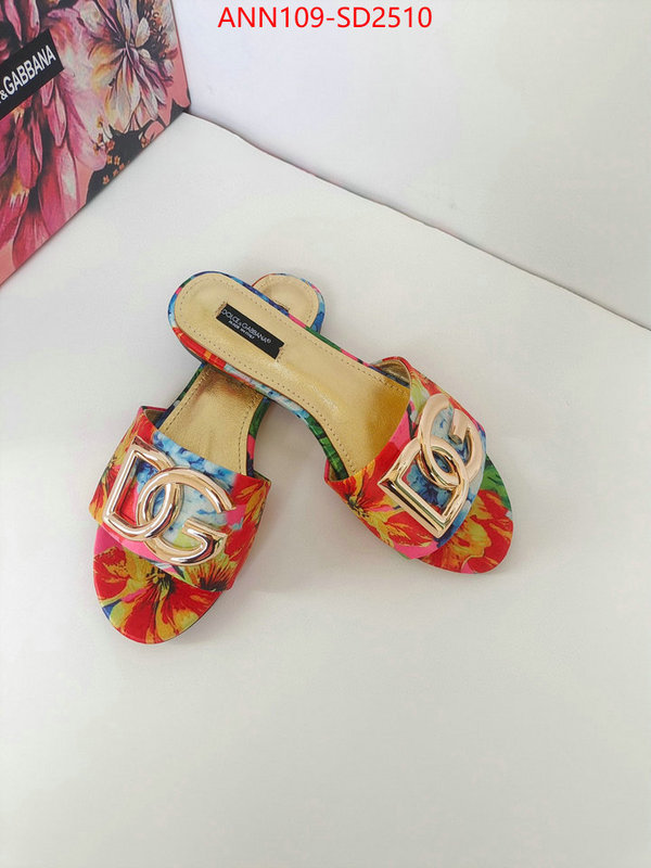 Women Shoes-DG,what 1:1 replica , ID: SD2510,$: 109USD