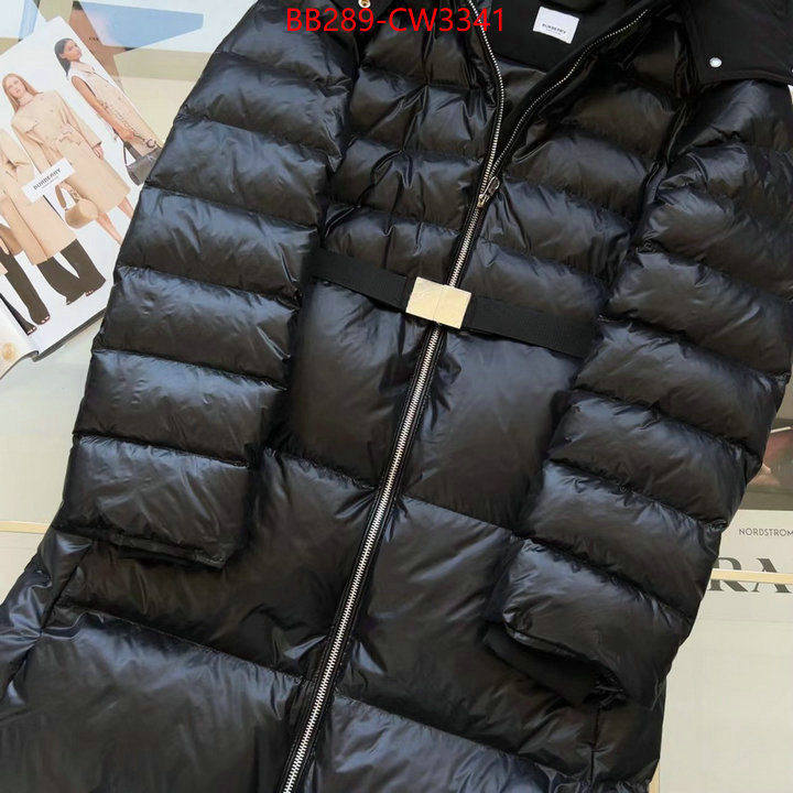 Down jacket Women-Burberry,high quality perfect , ID: CW3341,$: 289USD