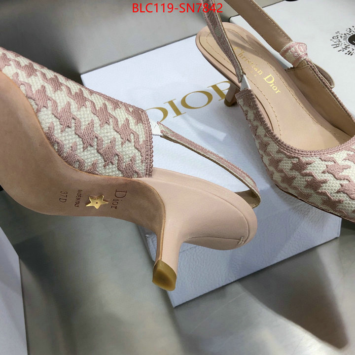 Women Shoes-Dior,designer 7 star replica , ID: SN7842,$: 119USD