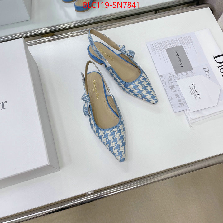 Women Shoes-Dior,outlet 1:1 replica , ID: SN7841,$: 119USD