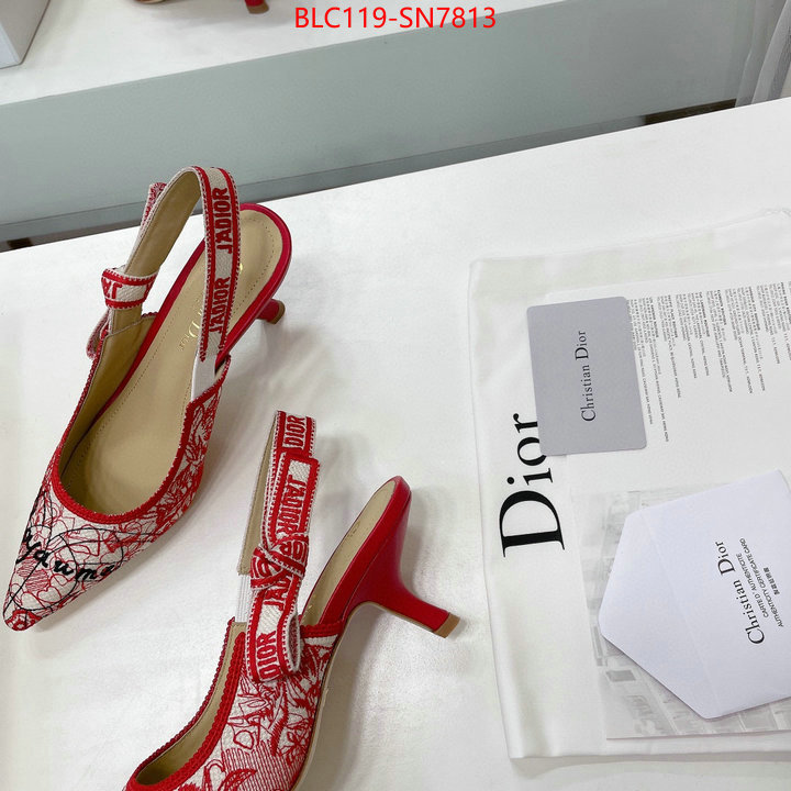 Women Shoes-Dior,designer wholesale replica , ID: SN7813,$: 119USD