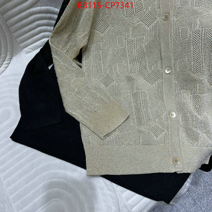 Clothing-Dior,cheap wholesale , ID: CP7341,$: 115USD