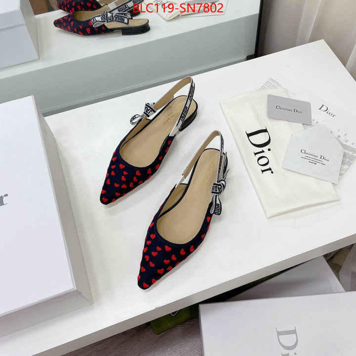 Women Shoes-Dior,high end designer , ID: SN7802,$: 119USD