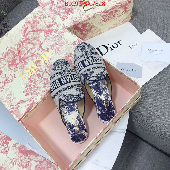 Women Shoes-Dior,1:1 replica wholesale , ID: SN7828,$: 99USD