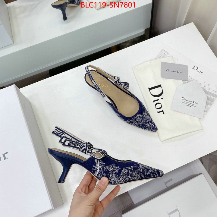 Women Shoes-Dior,what 1:1 replica , ID: SN7801,$: 119USD