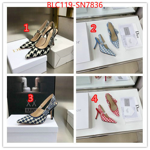 Women Shoes-Dior,what's the best to buy replica , ID: SN7836,$: 119USD