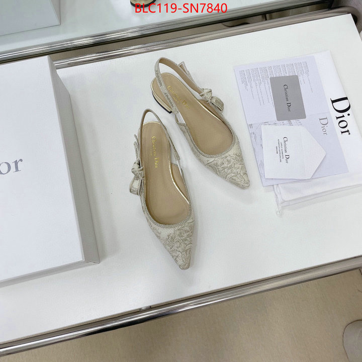 Women Shoes-Dior,replica designer , ID: SN7840,$: 119USD