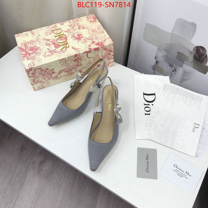 Women Shoes-Dior,how to find replica shop , ID: SN7814,$: 119USD