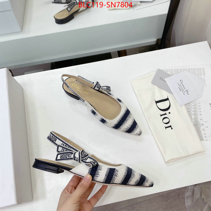 Women Shoes-Dior,wholesale designer shop , ID: SN7804,$: 119USD