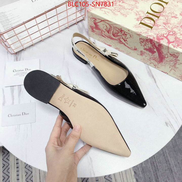 Women Shoes-Dior,aaaaa customize , ID: SN7831,$: 105USD