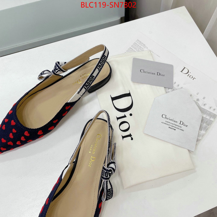 Women Shoes-Dior,high end designer , ID: SN7802,$: 119USD