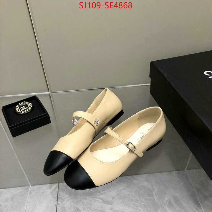 Women Shoes-Chanel,only sell high-quality , ID: SE4868,$: 109USD