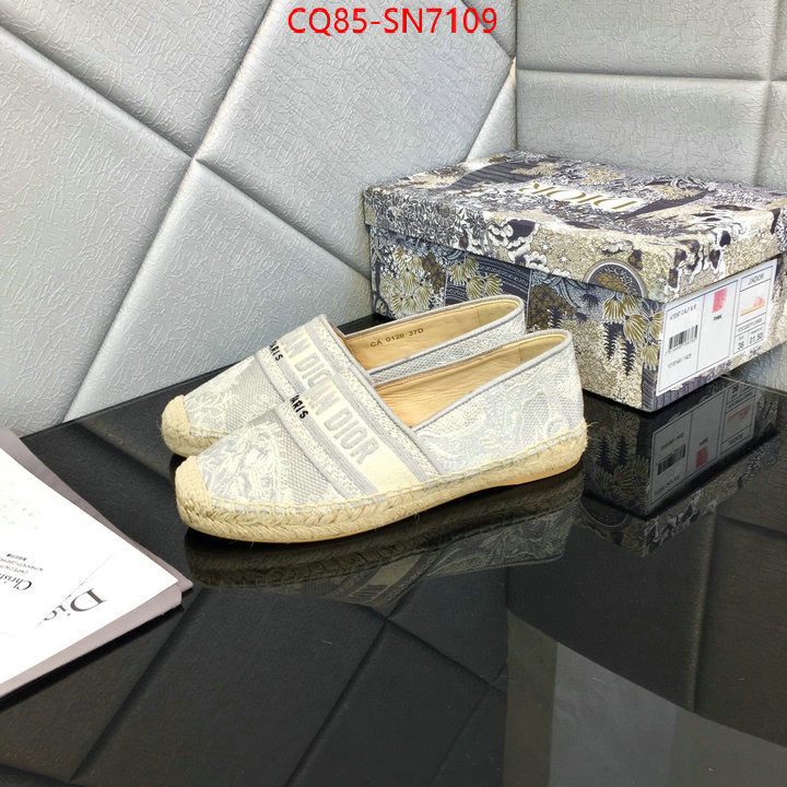 Women Shoes-Dior,online from china , ID: SN7109,$: 85USD