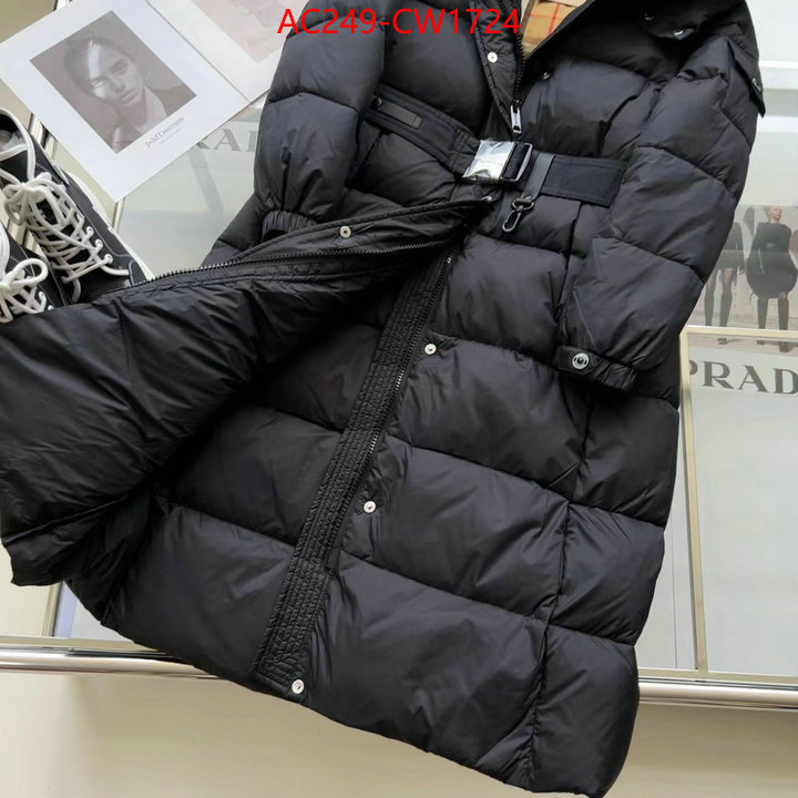 Down jacket Women-Burberry,the best quality replica , ID: CW1724,$: 249USD