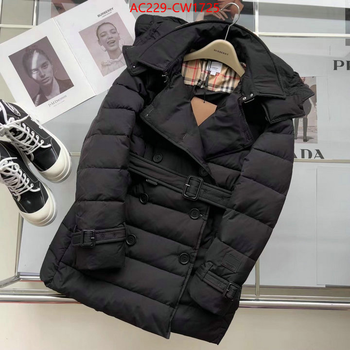 Down jacket Women-Burberry,how to start selling replica , ID: CW1725,$: 229USD