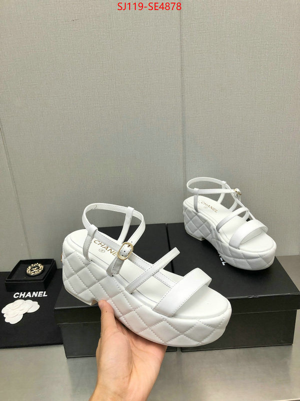 Women Shoes-Chanel,quality replica , ID: SE4878,$: 119USD