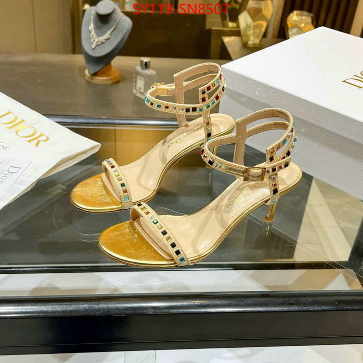 Women Shoes-Dior,new 2023 , ID: SN8507,$: 119USD