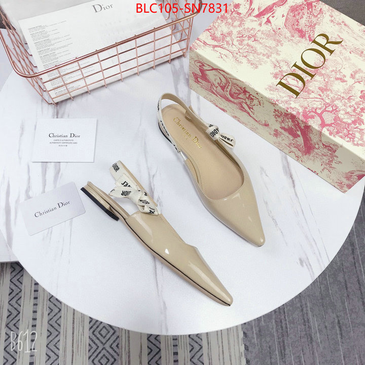 Women Shoes-Dior,aaaaa customize , ID: SN7831,$: 105USD