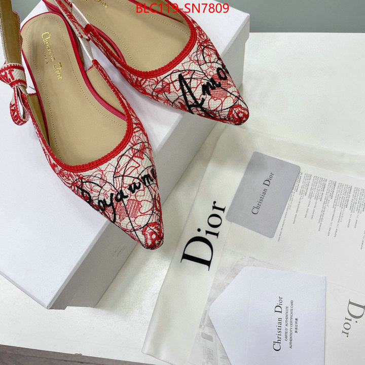 Women Shoes-Dior,designer wholesale replica , ID: SN7809,$: 119USD