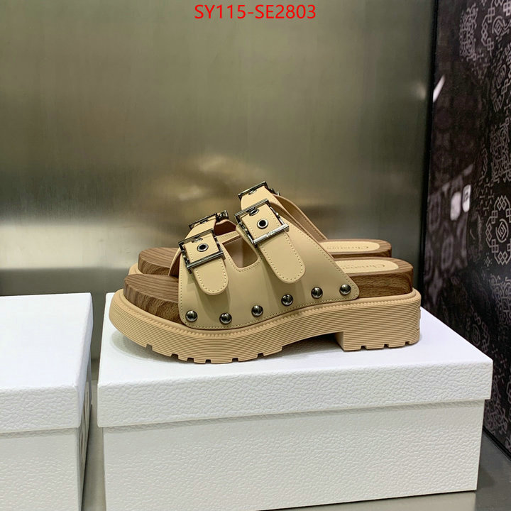 Women Shoes-Dior,wholesale , ID: SE2803,$: 115USD