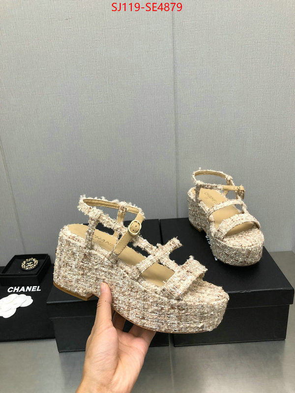 Women Shoes-Chanel,cheap replica designer , ID: SE4879,$: 119USD