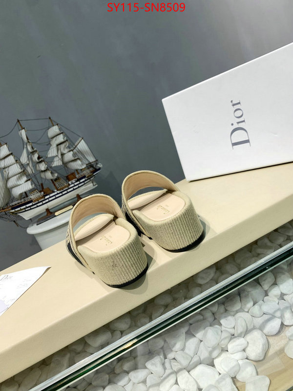 Women Shoes-Dior,sell online , ID: SN8509,$: 115USD