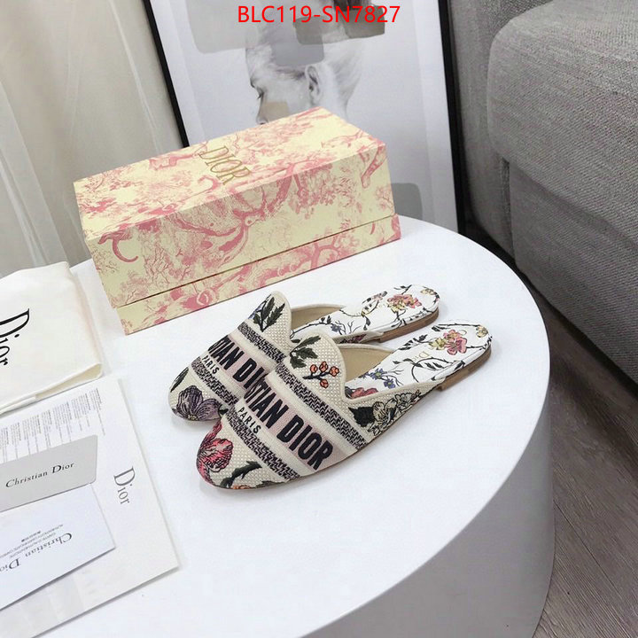 Women Shoes-Dior,wholesale china , ID: SN7827,$: 119USD