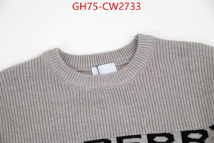 Clothing-Burberry,where can i buy , ID: CW2733,$: 75USD