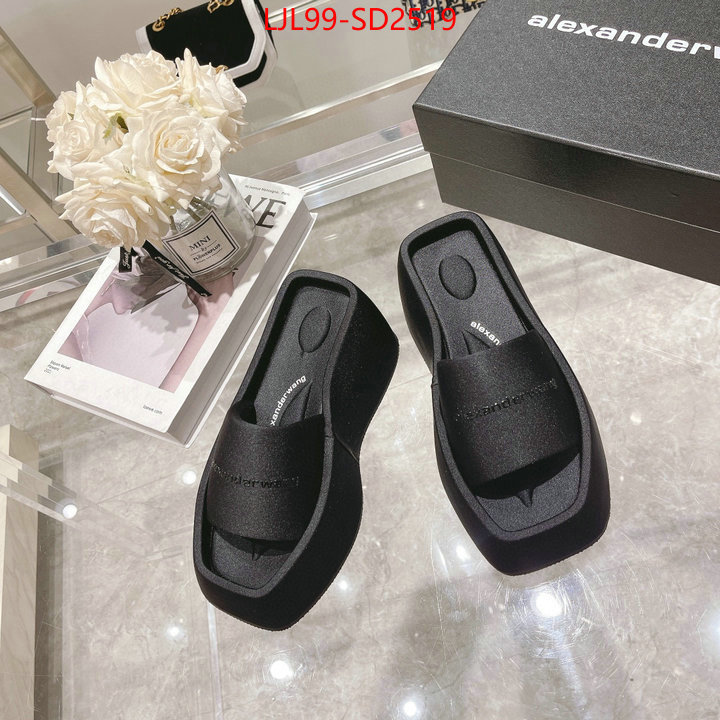 Women Shoes-Alexander Wang,sell high quality , ID: SD2519,$: 99USD
