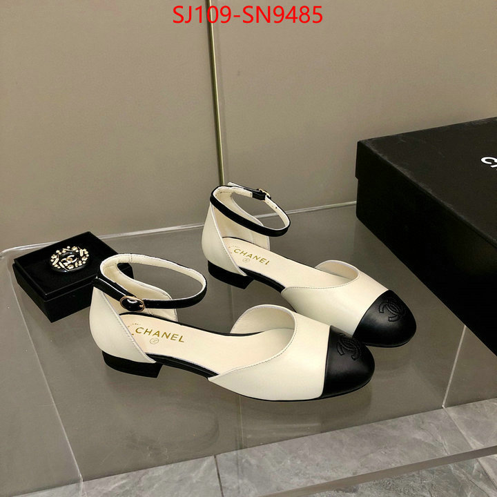 Women Shoes-Chanel,perfect replica , ID: SN9485,$: 109USD