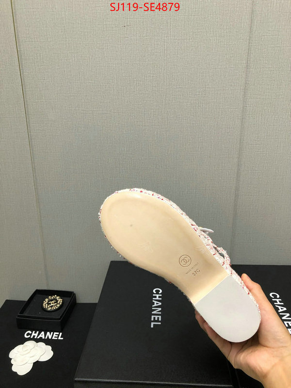 Women Shoes-Chanel,cheap replica designer , ID: SE4879,$: 119USD