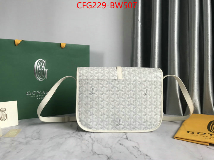 Goyard Bags(TOP)-Diagonal-,ID: BW507,$: 229USD