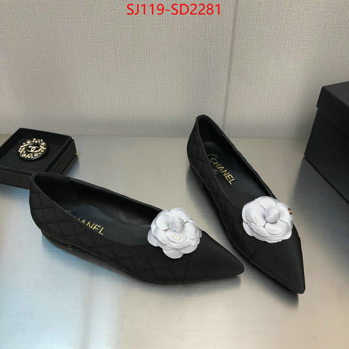 Women Shoes-Chanel,buy best quality replica , ID: SD2281,$: 119USD