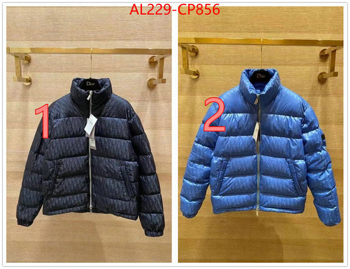 Down jacket Women-Dior,china sale , ID: CP856,$: 229USD