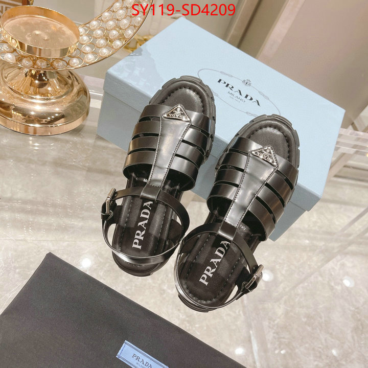 Women Shoes-Prada,fashion designer , ID: SD4209,$: 119USD