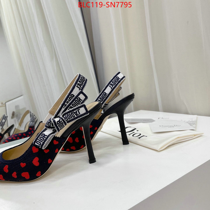 Women Shoes-Dior,what best replica sellers , ID: SN7795,$: 119USD