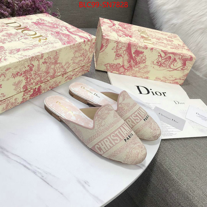 Women Shoes-Dior,1:1 replica wholesale , ID: SN7828,$: 99USD