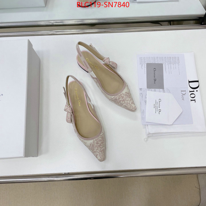 Women Shoes-Dior,replica designer , ID: SN7840,$: 119USD