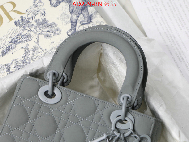 Dior Bags(TOP)-Lady-,ID: BN3635,$: 229USD