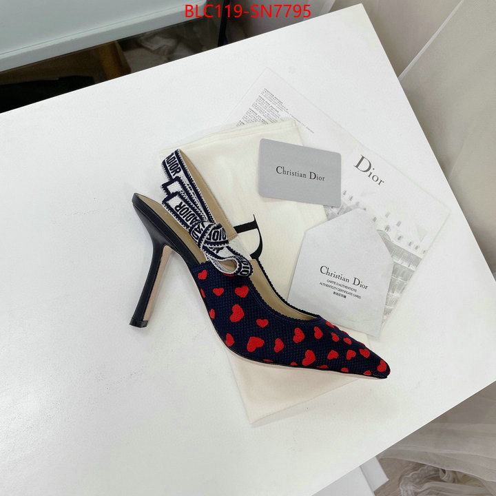 Women Shoes-Dior,what best replica sellers , ID: SN7795,$: 119USD