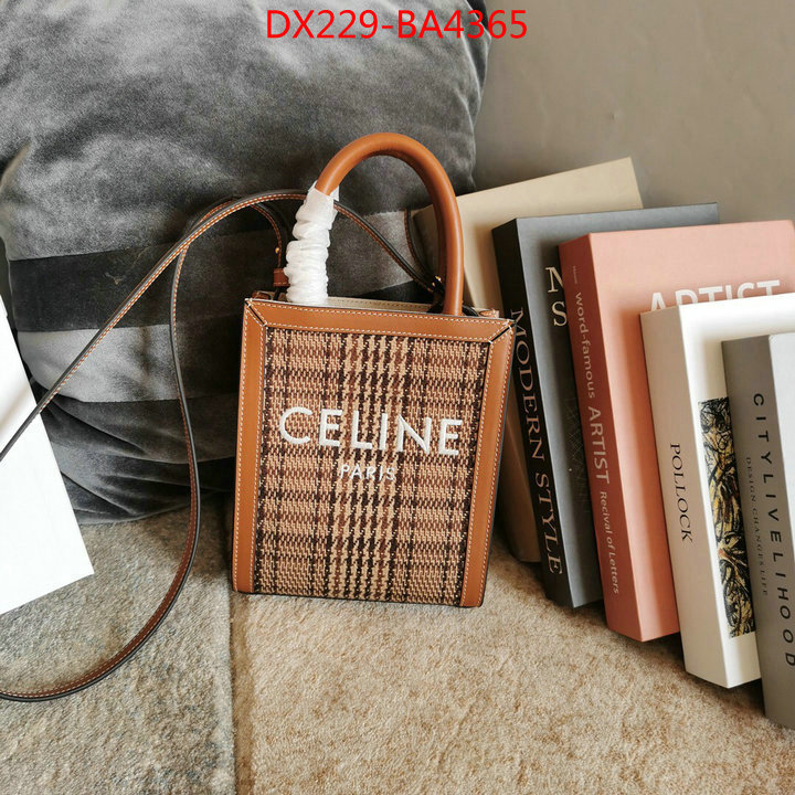 CELINE Bags(TOP)-Cabas Series,is it ok to buy replica ,ID: BA4365,$: 229USD